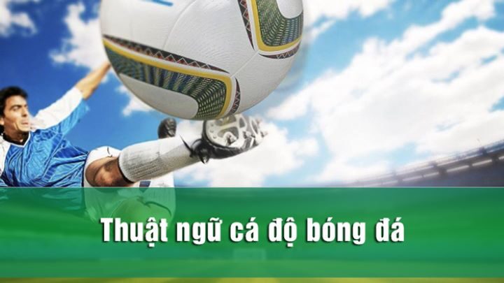 Các thuật ngữ soi kèo bóng đá trong kèo Châu Âu